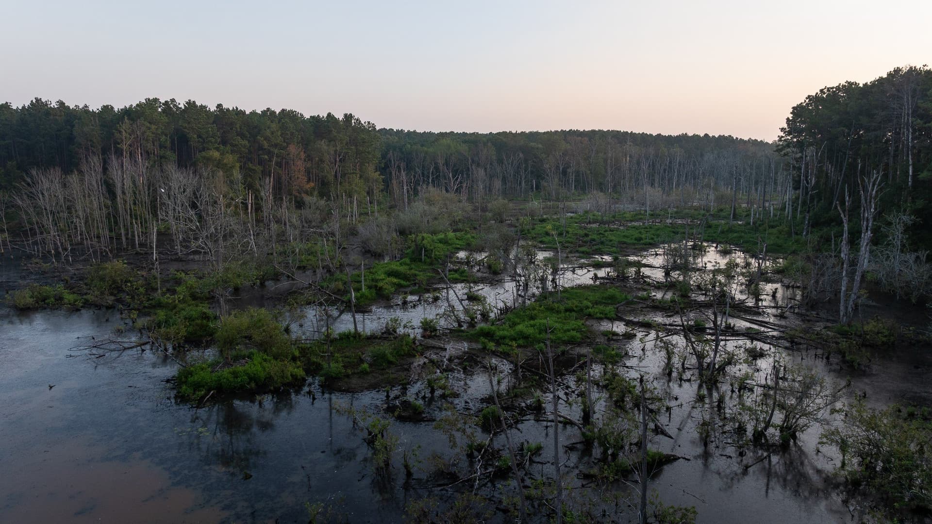 327.55 acres in Rusk County - photo 30