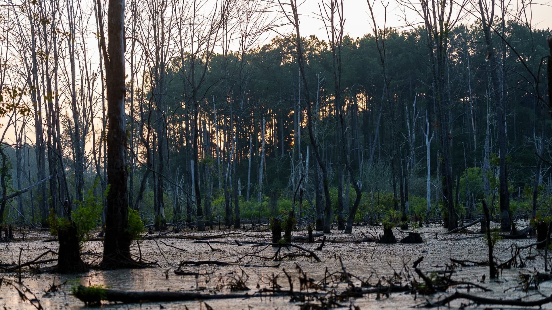 327.55 acres in Rusk County - photo 12