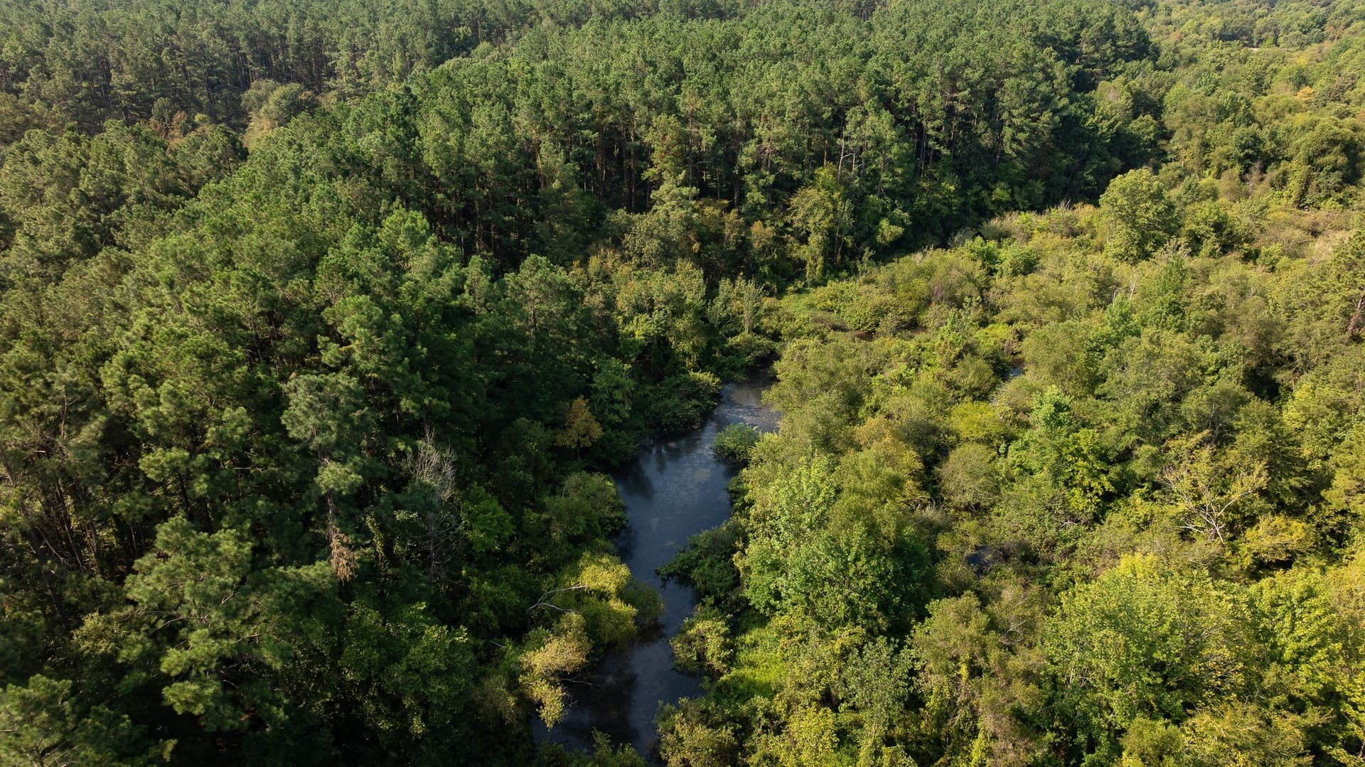 327.55 acres in Rusk County - photo 10
