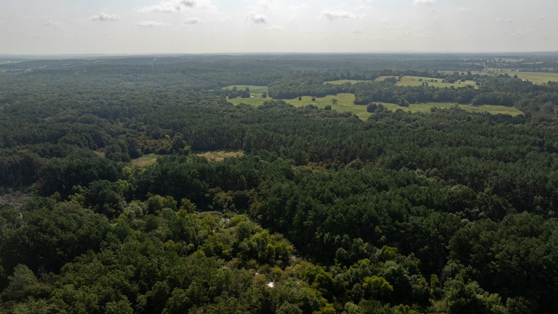 327.55 acres in Rusk County - photo 8