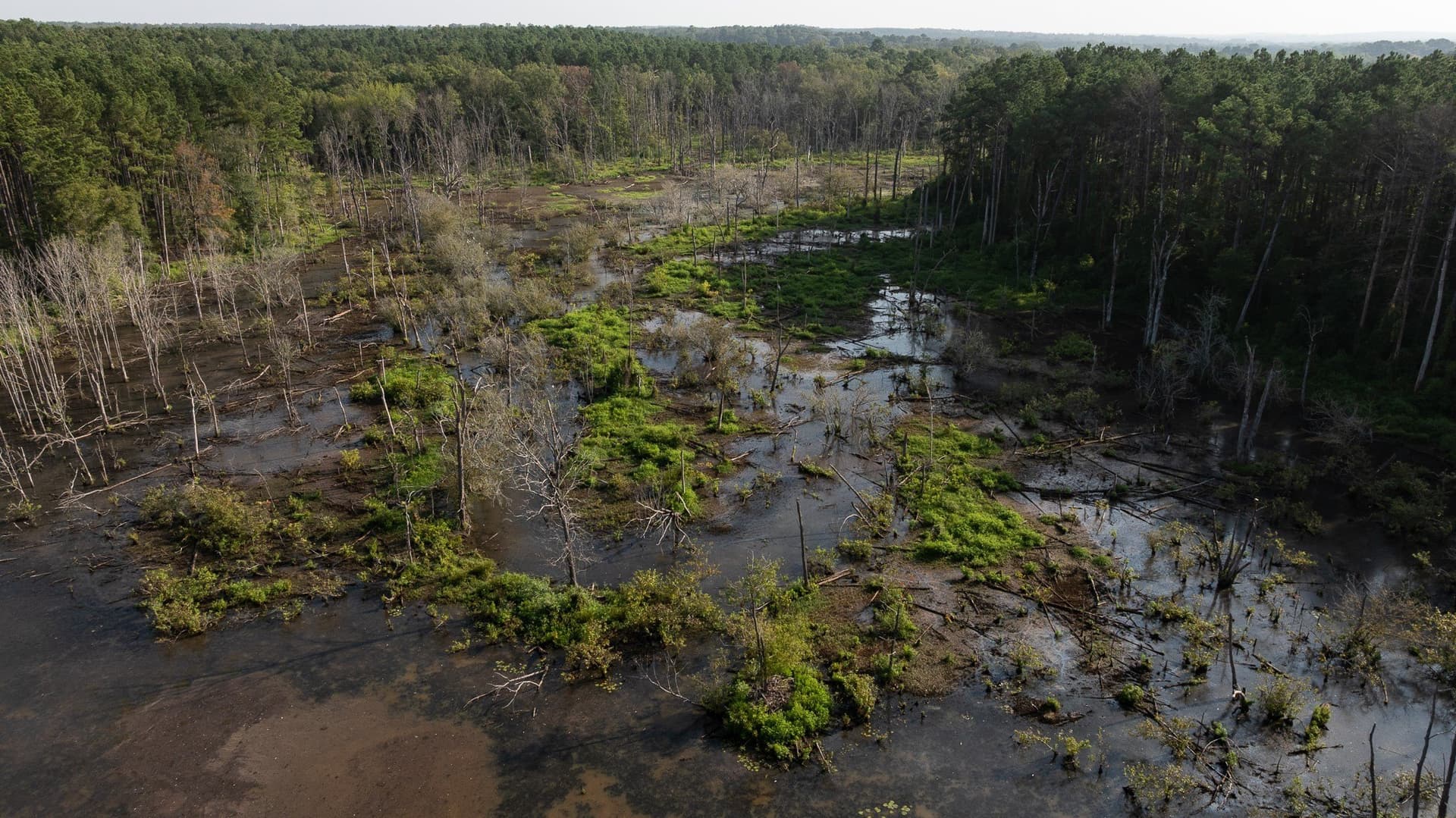 327.55 acres in Rusk County - photo 6