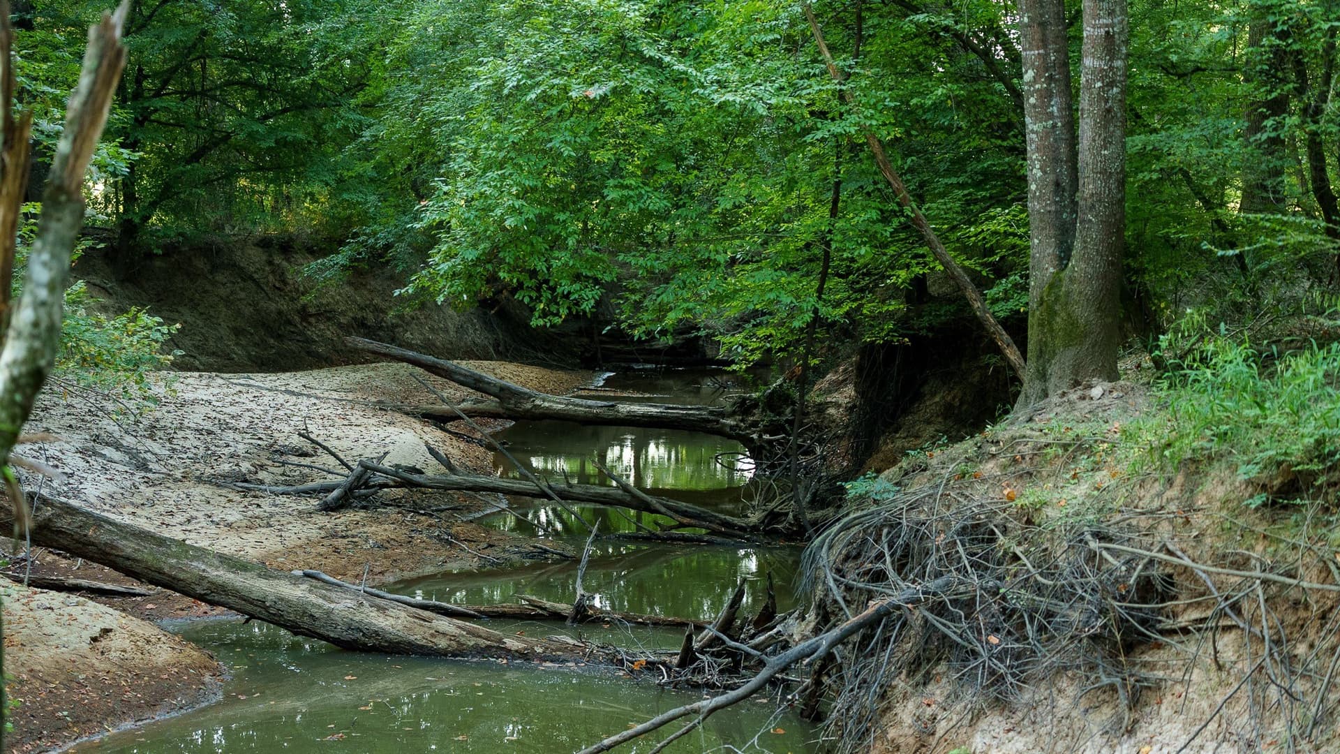 327.55 acres in Rusk County - photo 19
