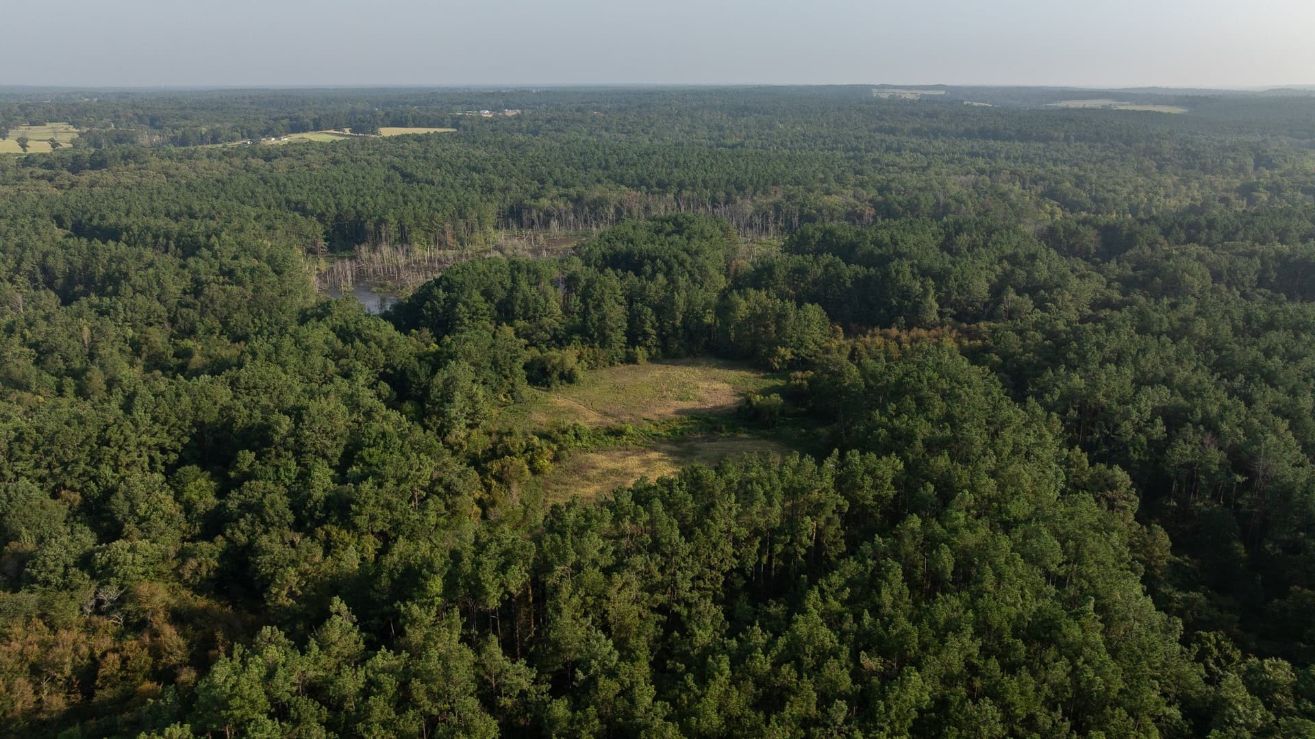 327.55 acres in Rusk County - photo 4
