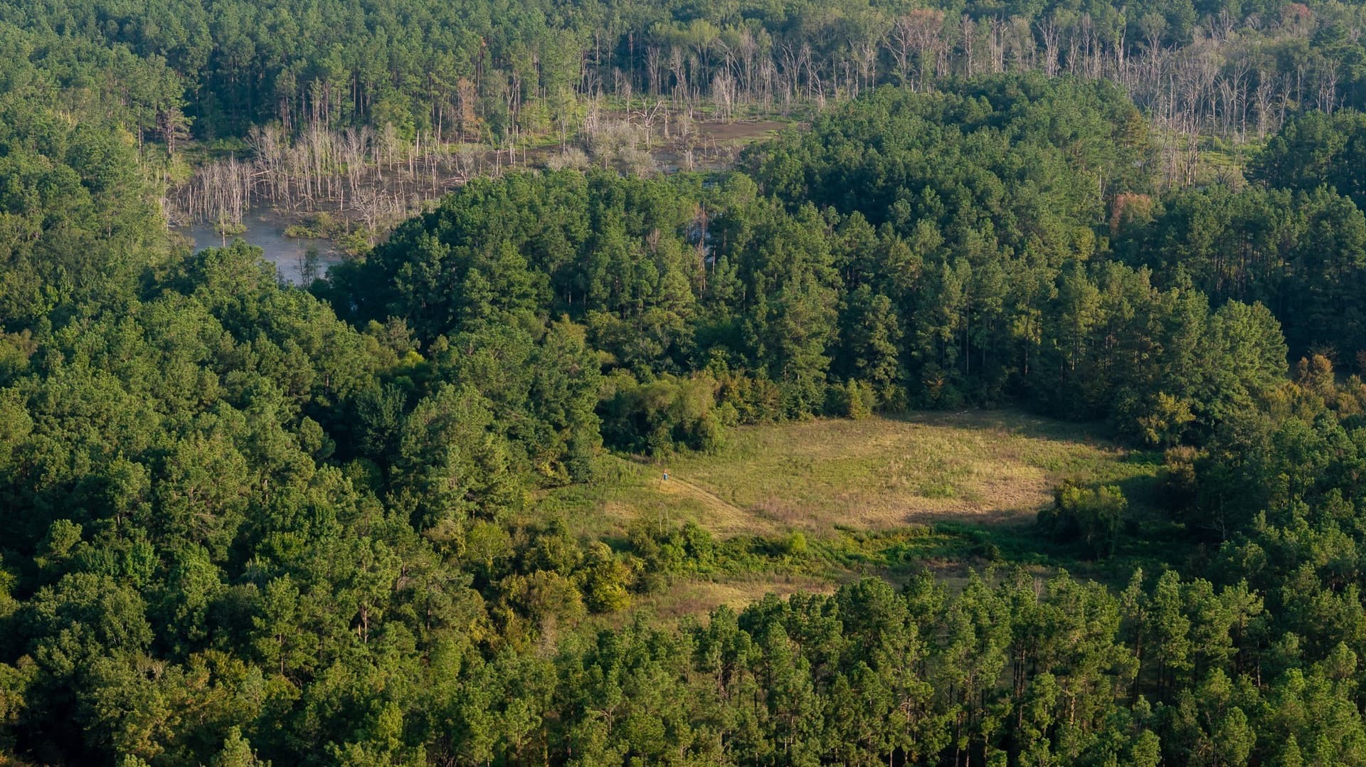 327.55 acres in Rusk County - photo 5