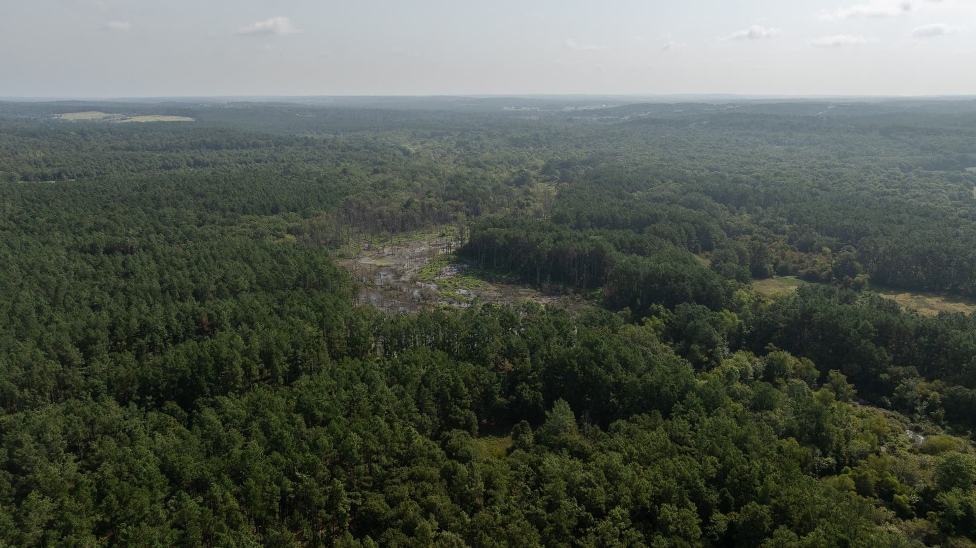 327.55 acres in Rusk County - photo 7