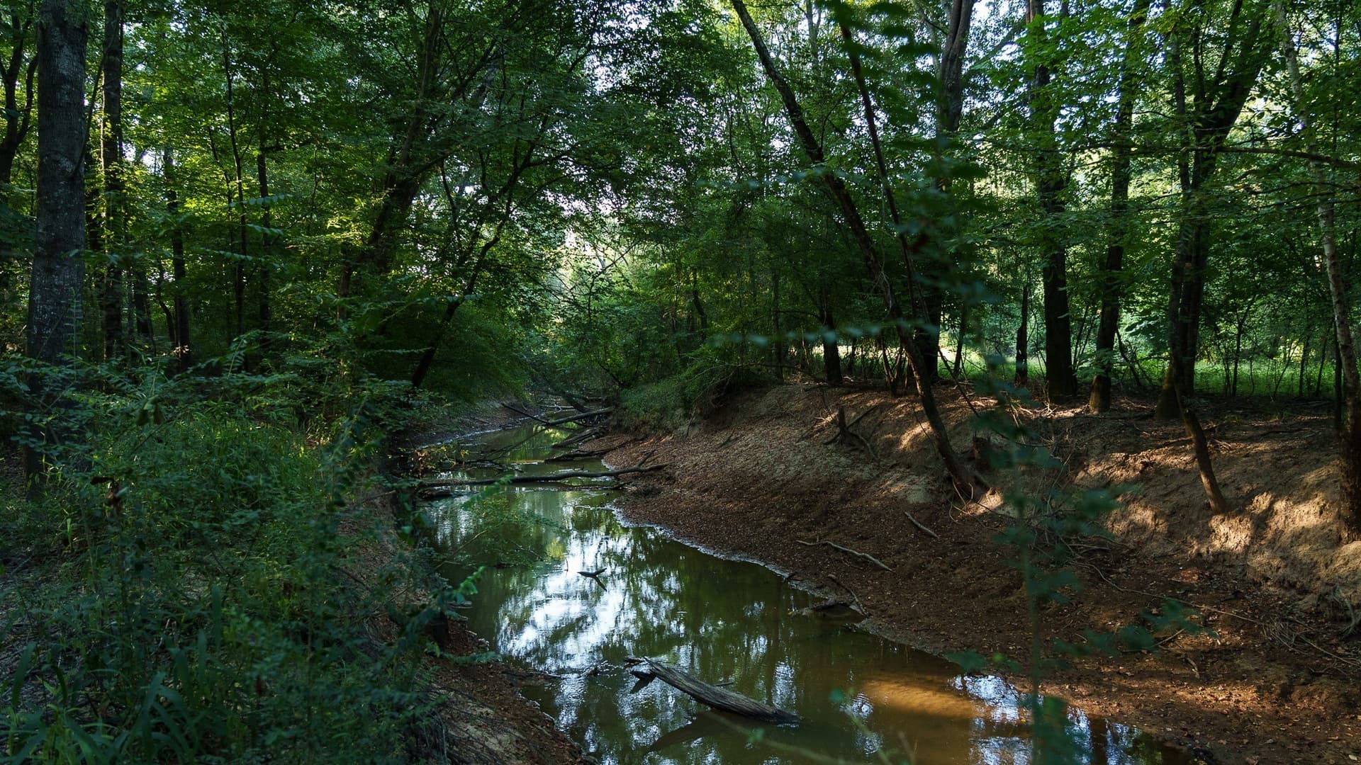 327.55 acres in Rusk County - photo 20
