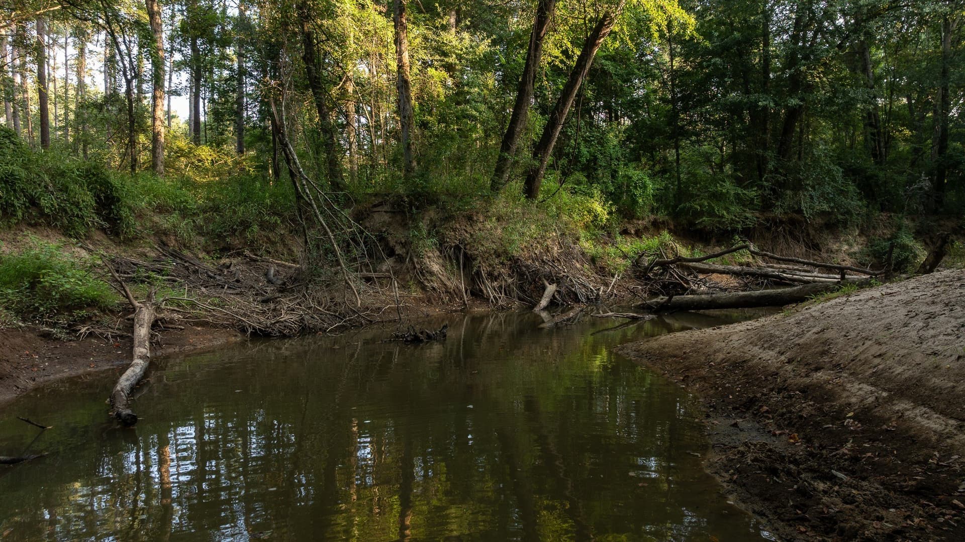 327.55 acres in Rusk County - photo 31