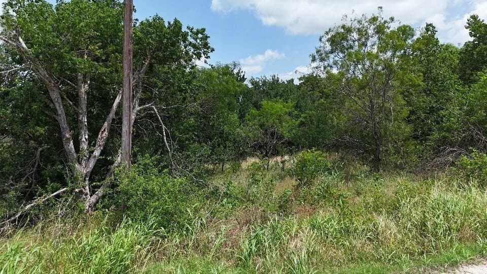 1.24 acres in Hill County - photo 4
