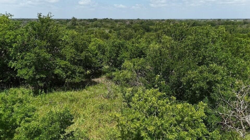 1.24 acres in Hill County - photo 2