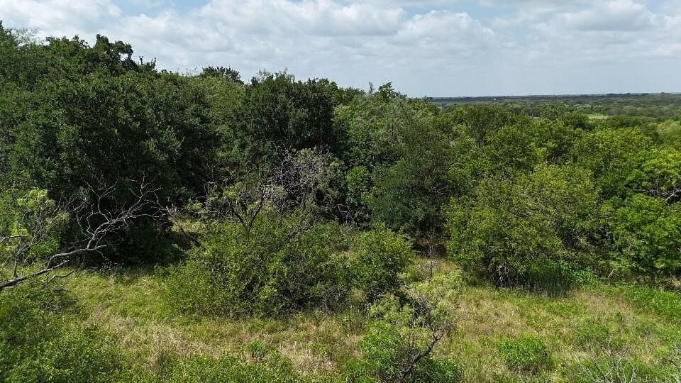 1.24 acres in Hill County - photo 3