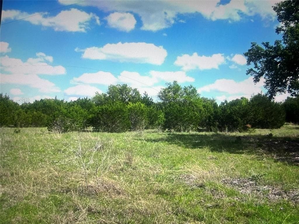 10.01 acres in Coryell County gallery image 3