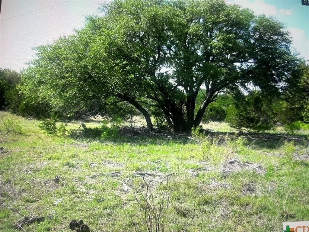 10.01 acres in Coryell County gallery image 2