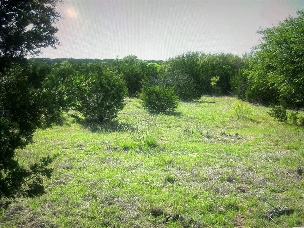 10.01 acres in Coryell County gallery image 4