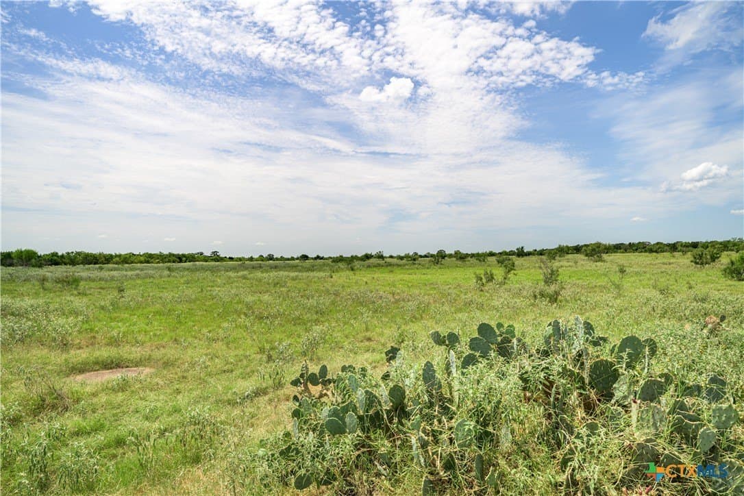 50 acres in Fayette County - photo 7