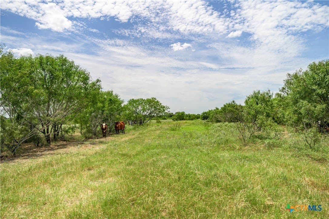 50 acres in Fayette County gallery image 3