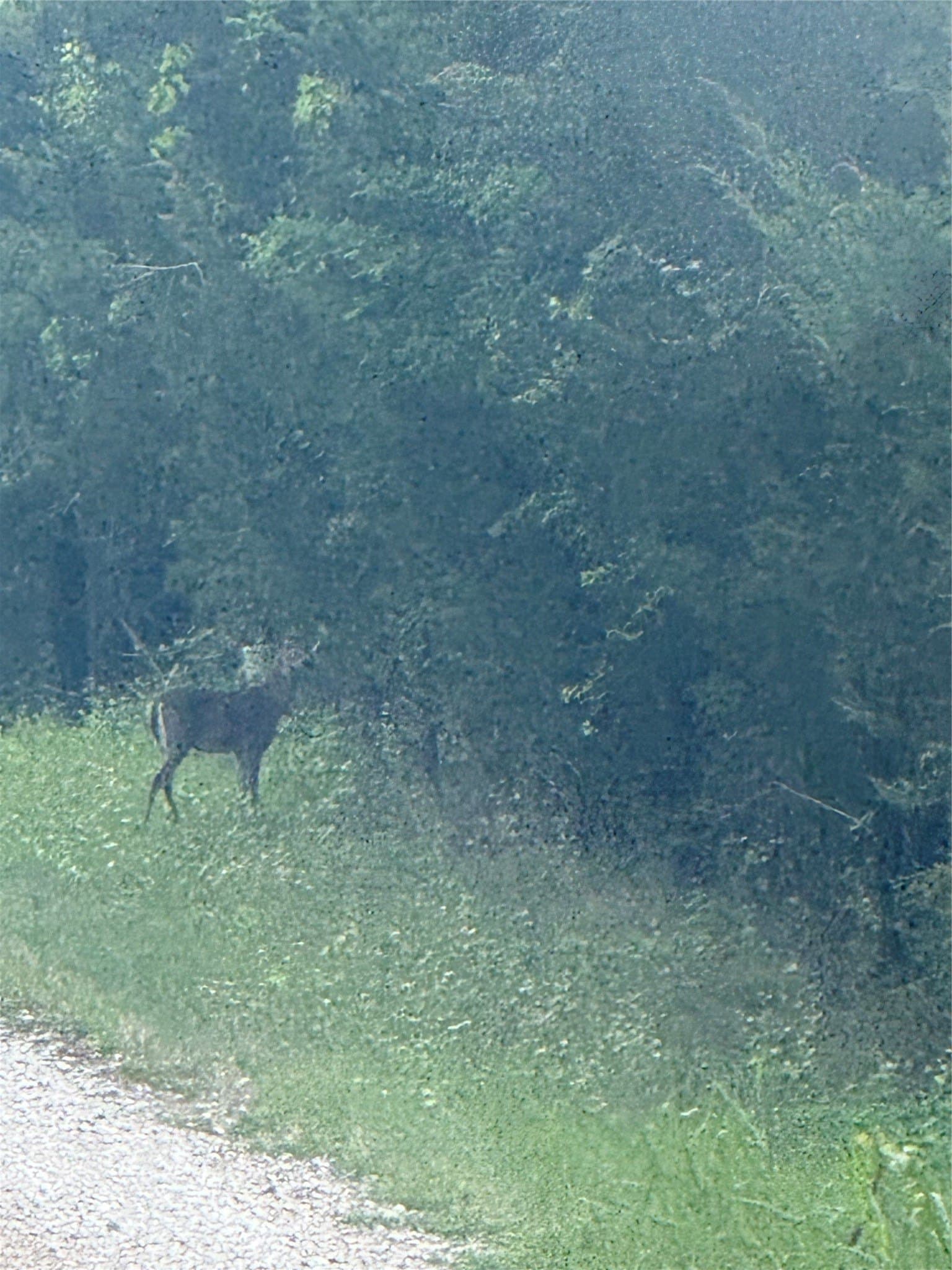 23.19 acres in Hunt County - photo 30