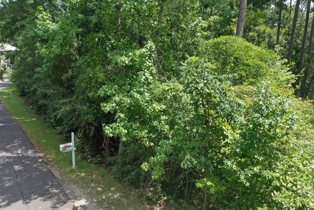 0.3 acres in Texas County - photo 10