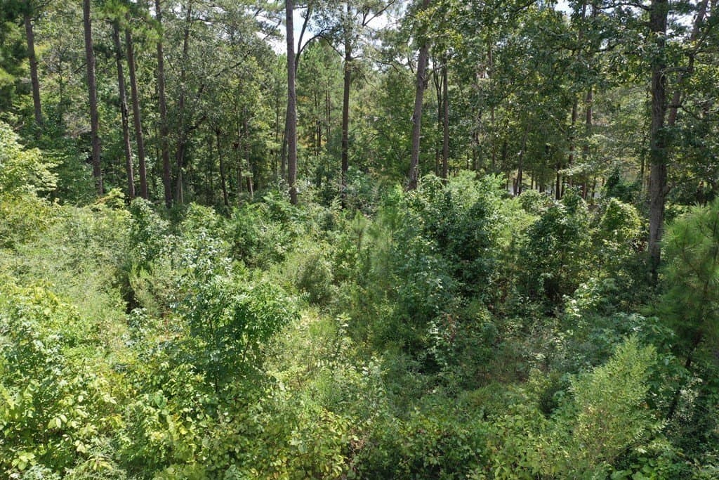 0.3 acres in Texas County - photo 11