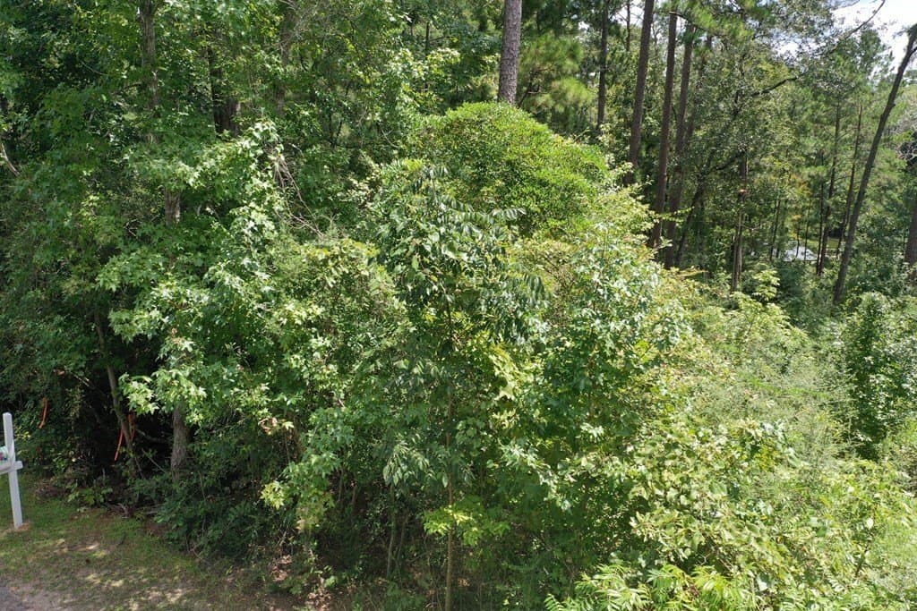 0.3 acres in Texas County - photo 7