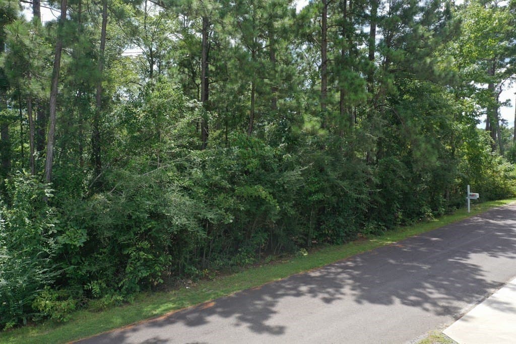 0.3 acres in Texas County - photo 8