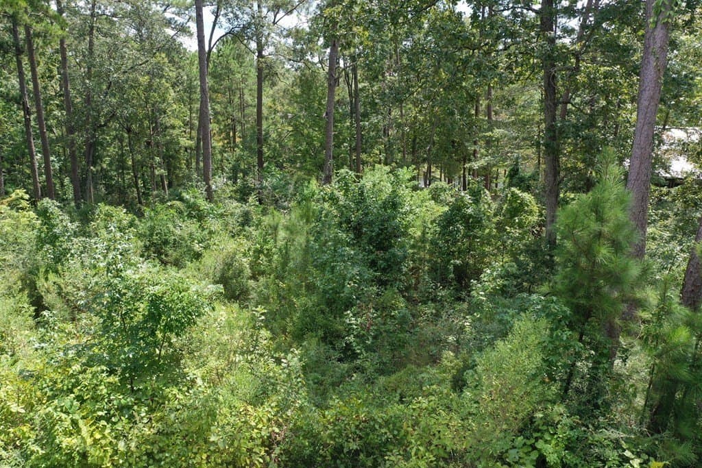 0.3 acres in Texas County - photo 6