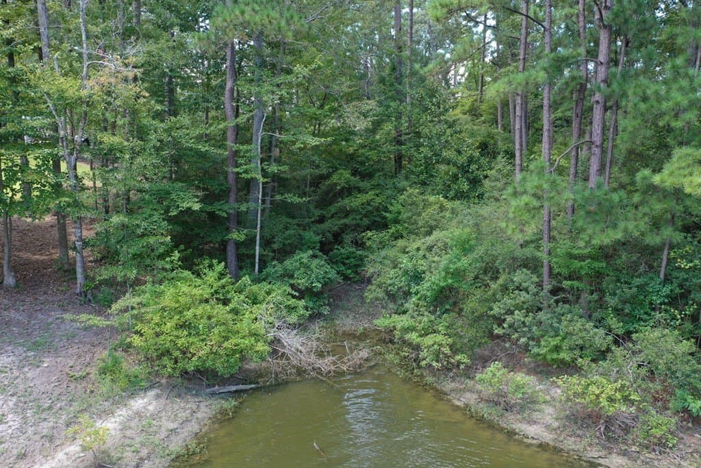0.3 acres in Texas County - photo 12