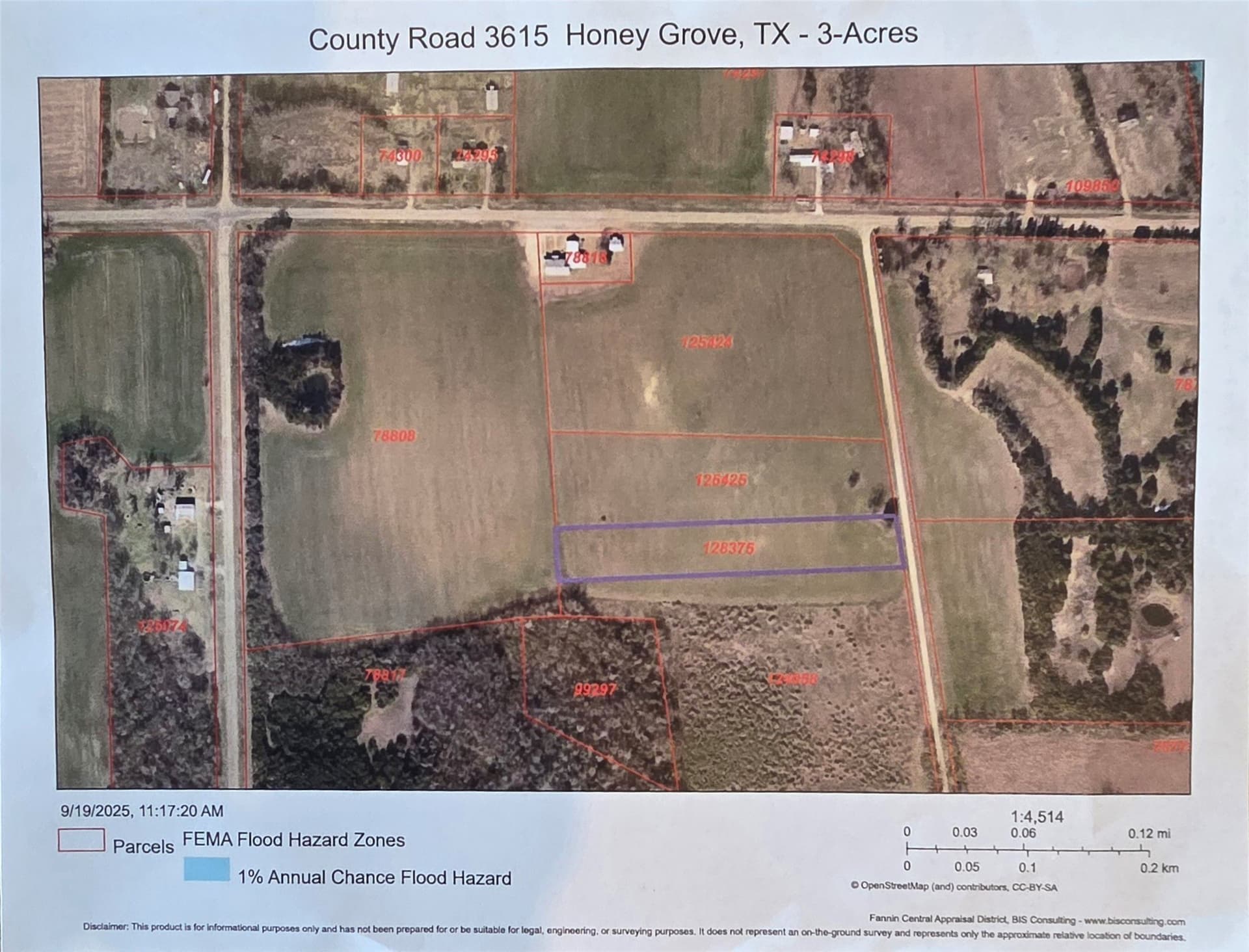 3 acres in Fannin County - photo 13