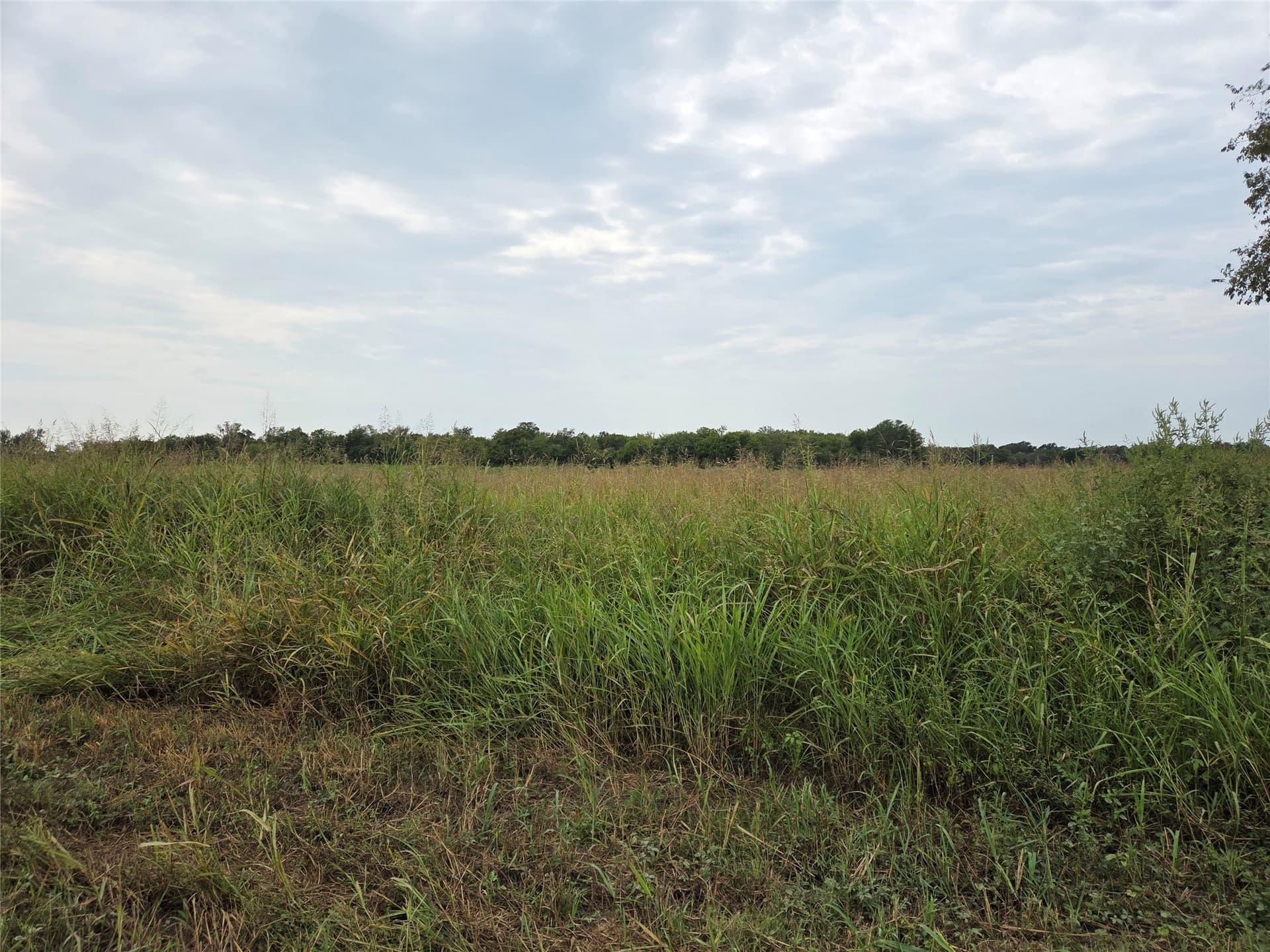 3 acres in Fannin County