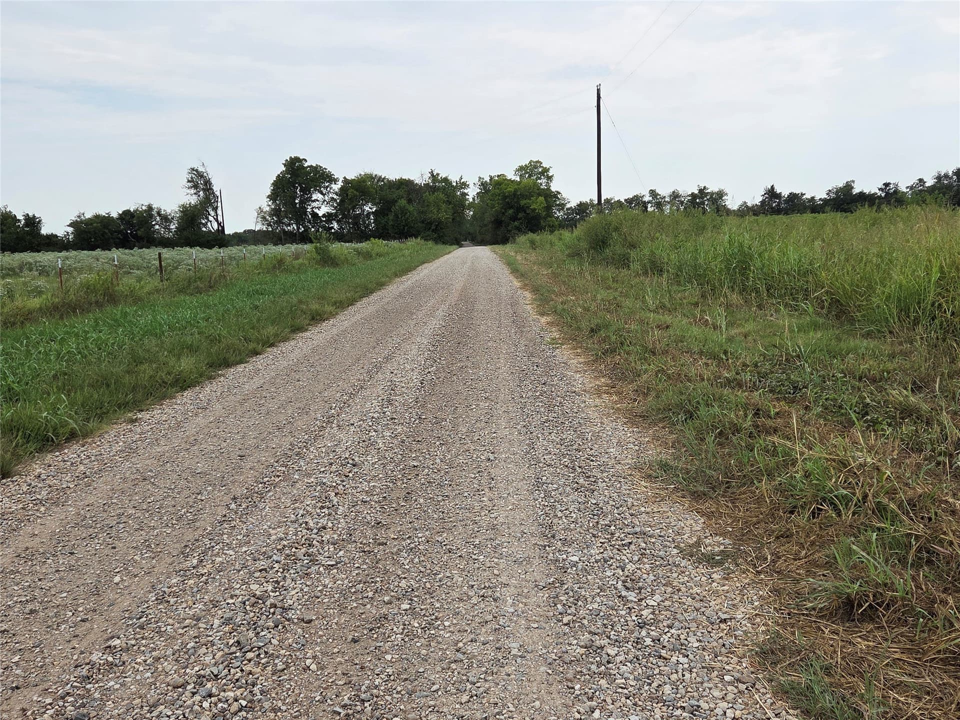 3 acres in Fannin County - photo 6