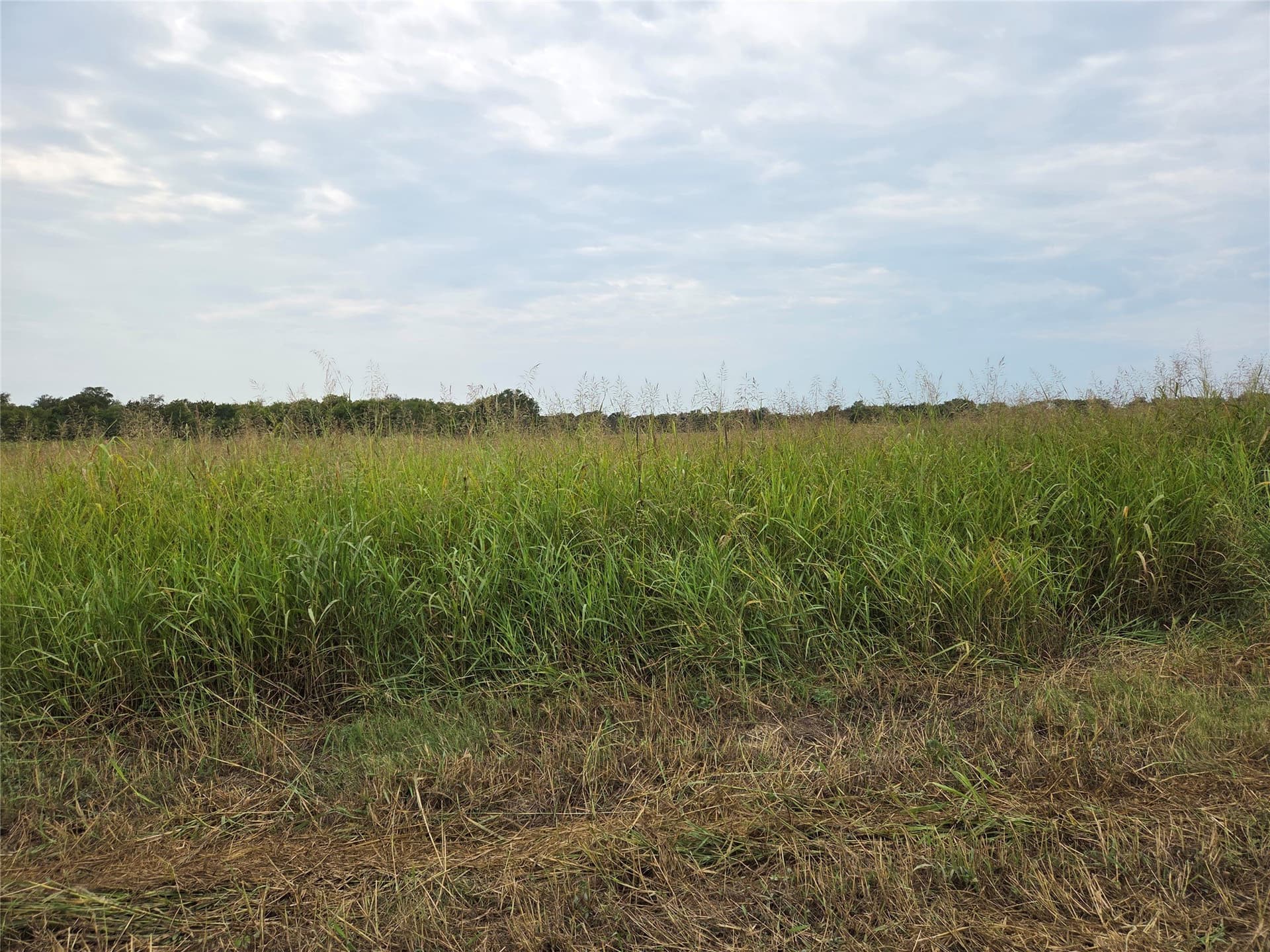 3 acres in Fannin County - photo 2