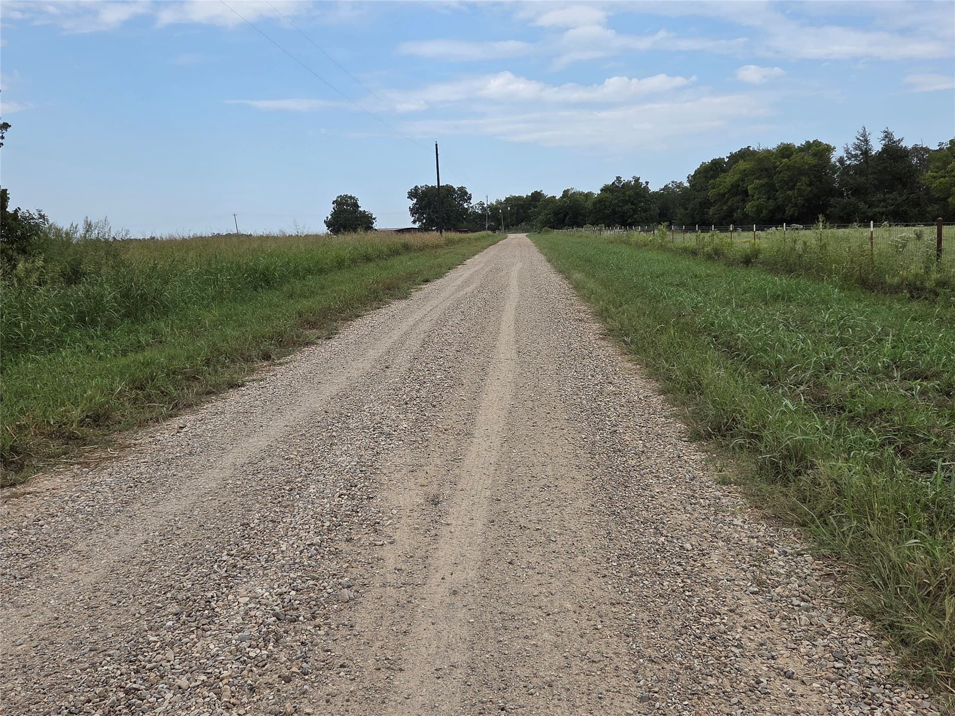 3 acres in Fannin County - photo 7
