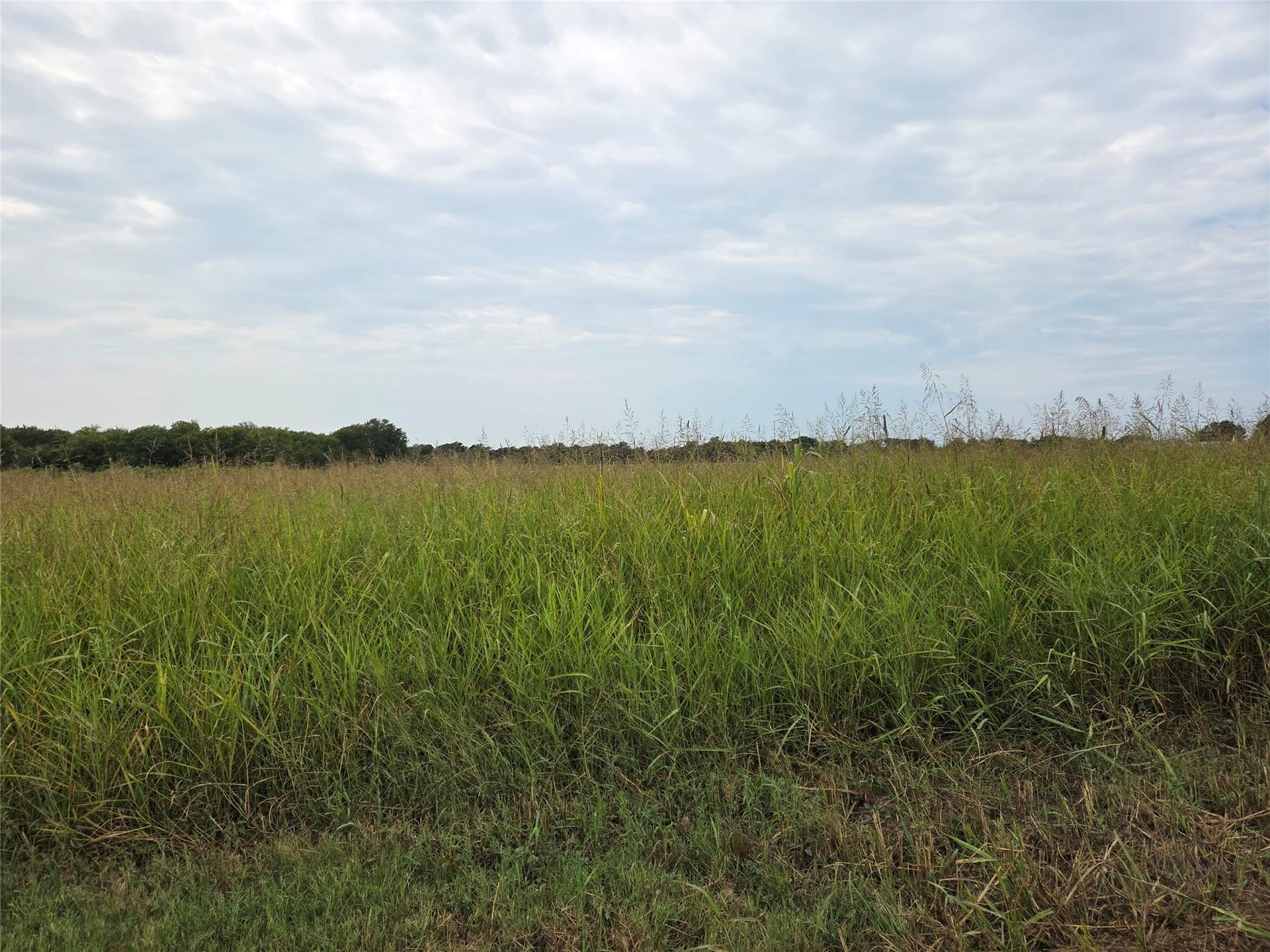 3 acres in Fannin County - photo 3