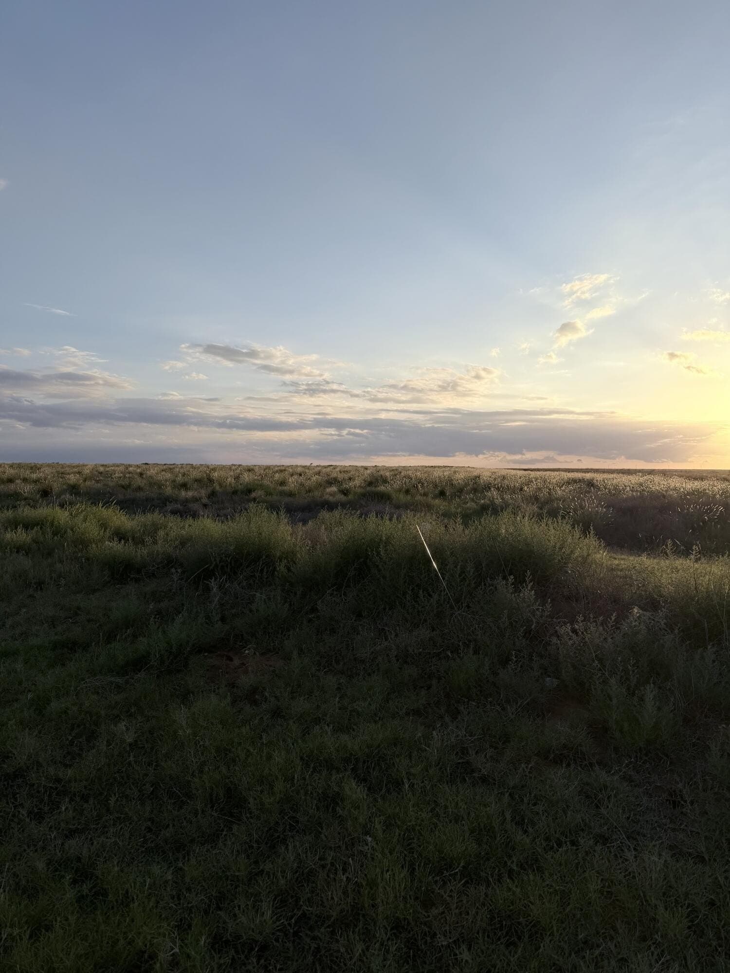 10.86 acres in Hockley County gallery image 3