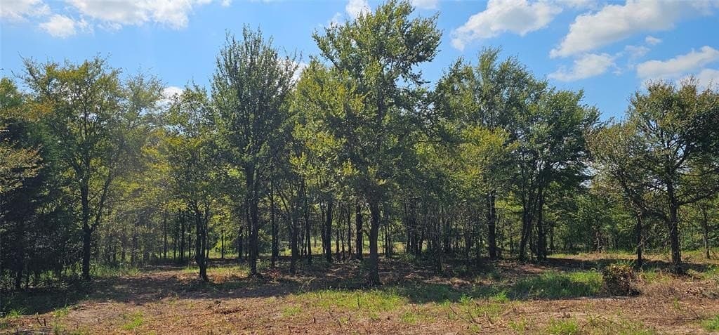 80.75 acres in Van Zandt County featured view