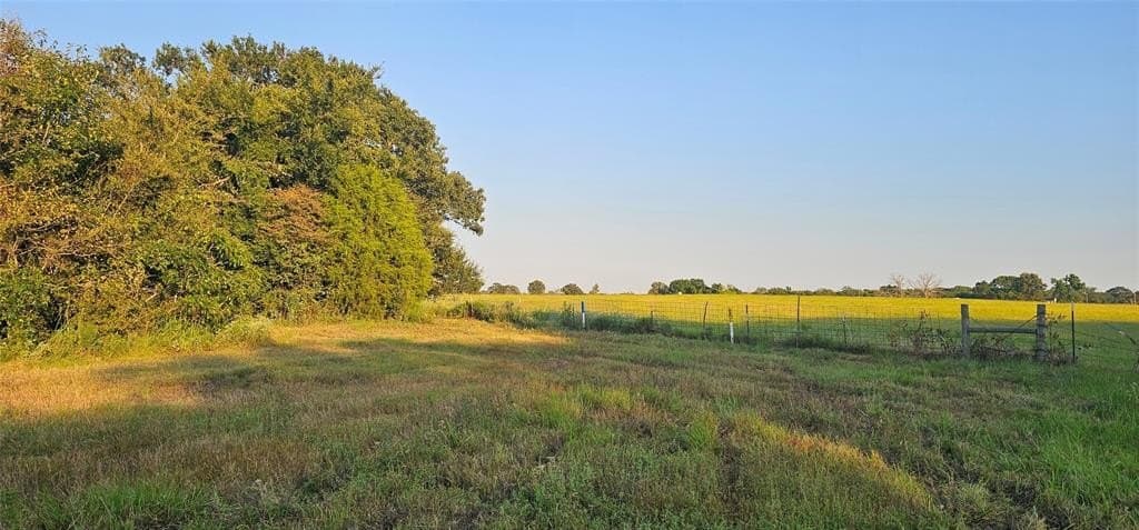 80.75 acres in Van Zandt County gallery image 4