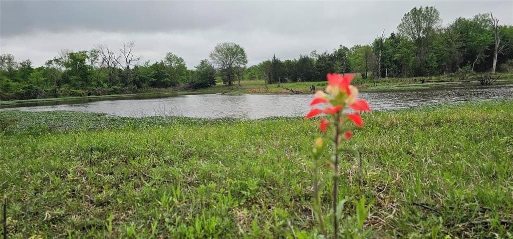 80.75 acres in Van Zandt County