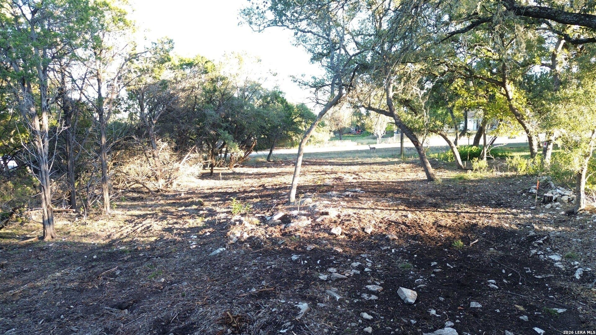 0.21 acres in Comal County gallery image 3