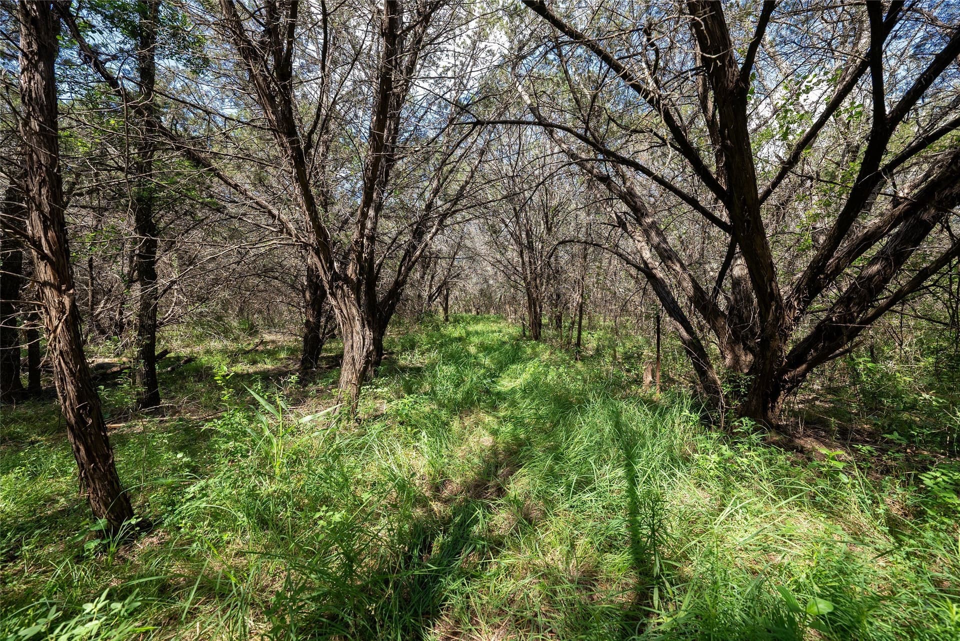 40 acres in Bosque County - photo 11