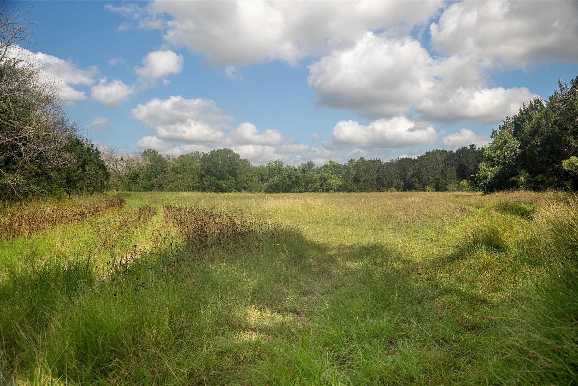 40 acres in Bosque County - photo 16