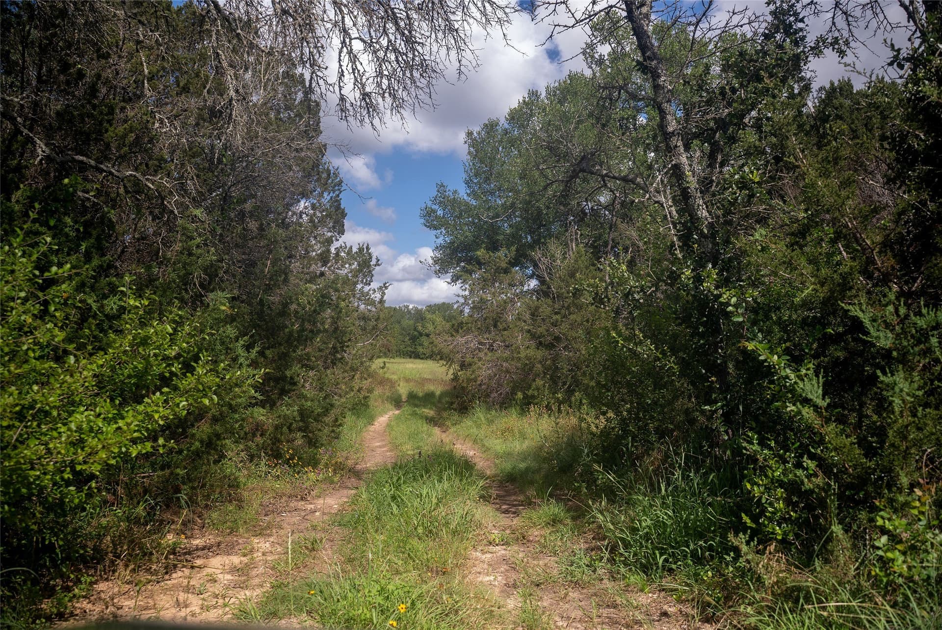 40 acres in Bosque County - photo 5