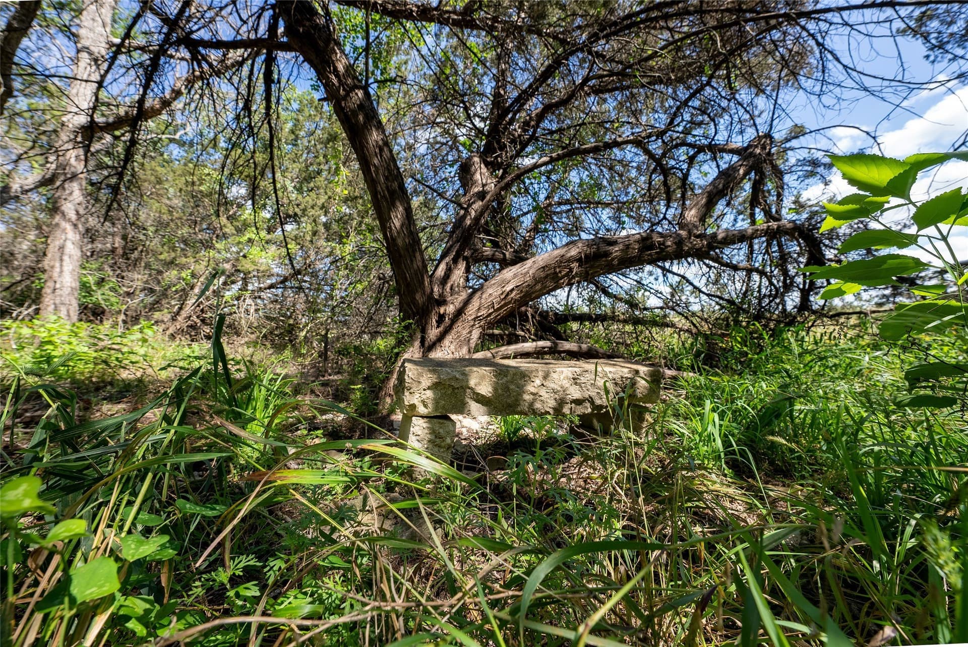 40 acres in Bosque County - photo 9