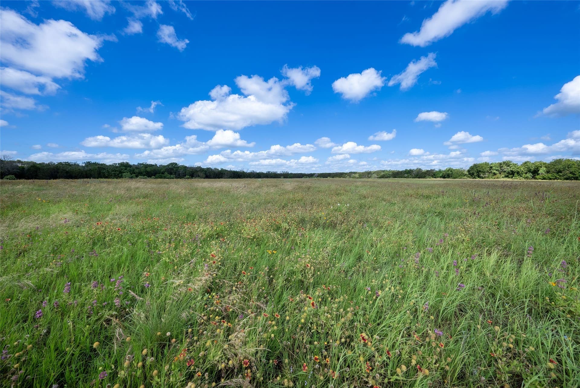 40 acres in Bosque County - photo 8