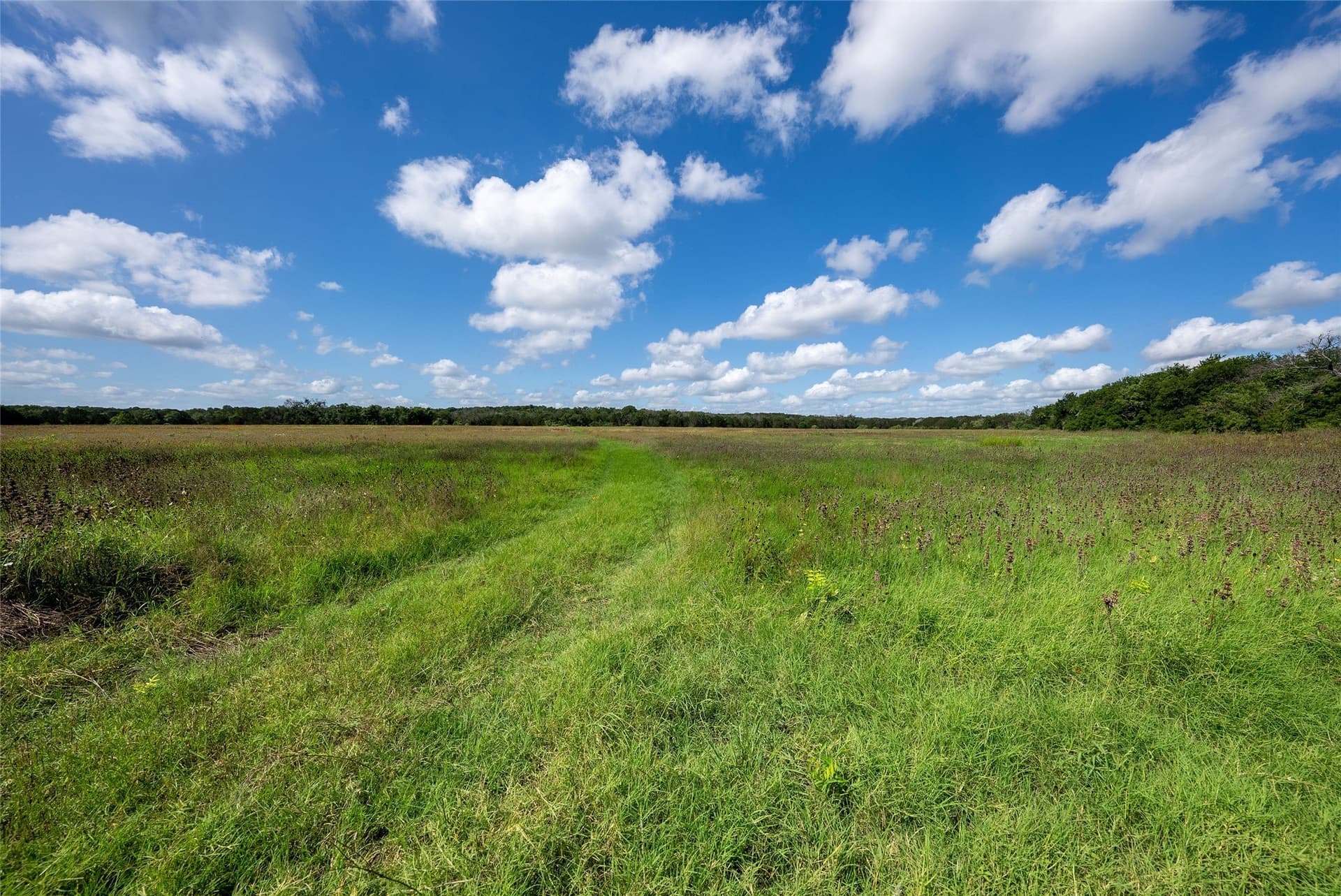 40 acres in Bosque County - photo 14