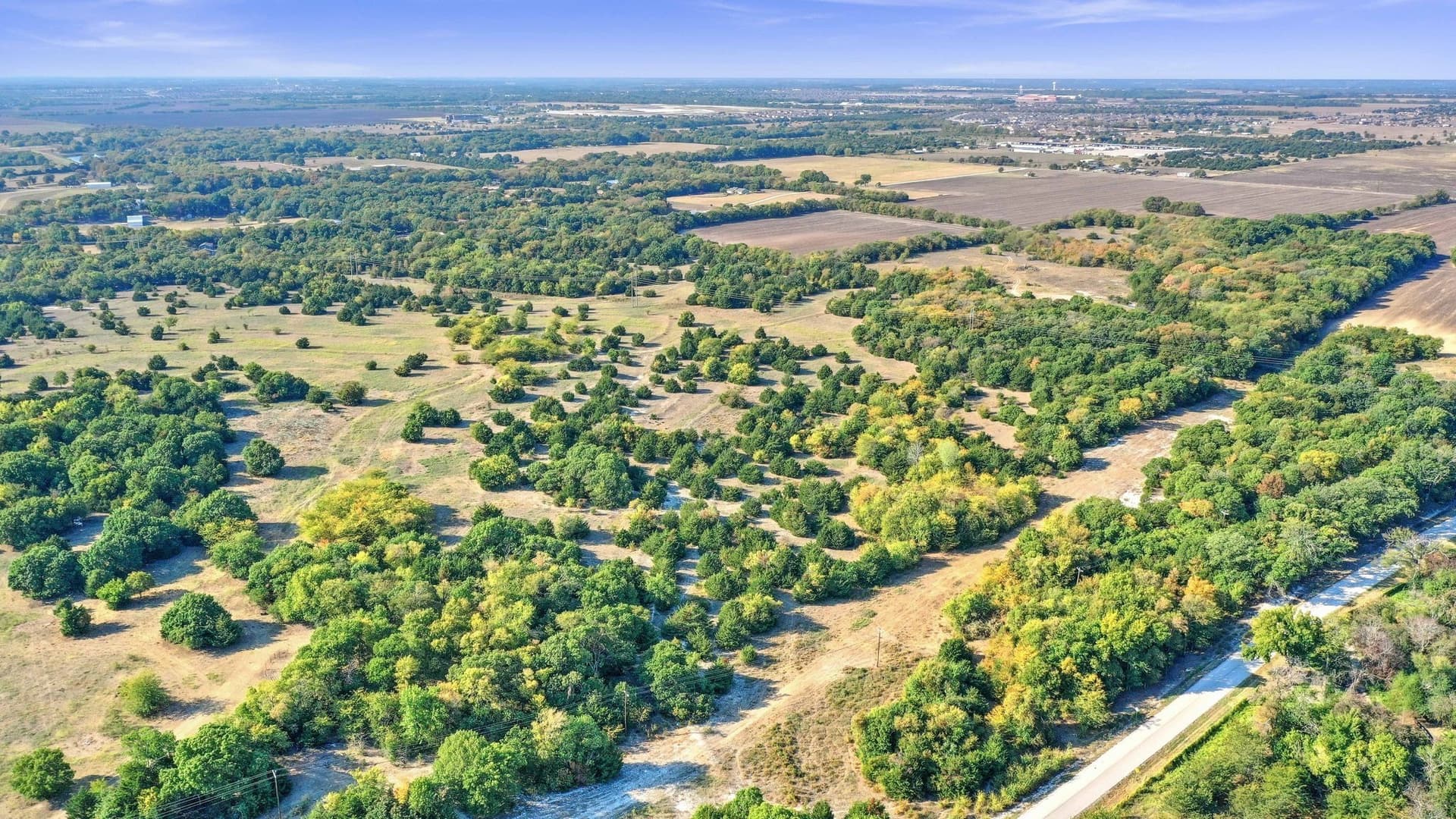 33.3 acres in Collin County - photo 10