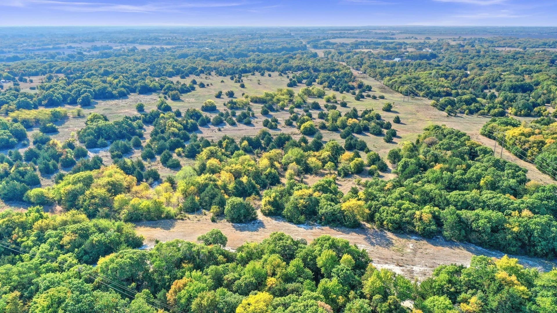 33.3 acres in Collin County - photo 23