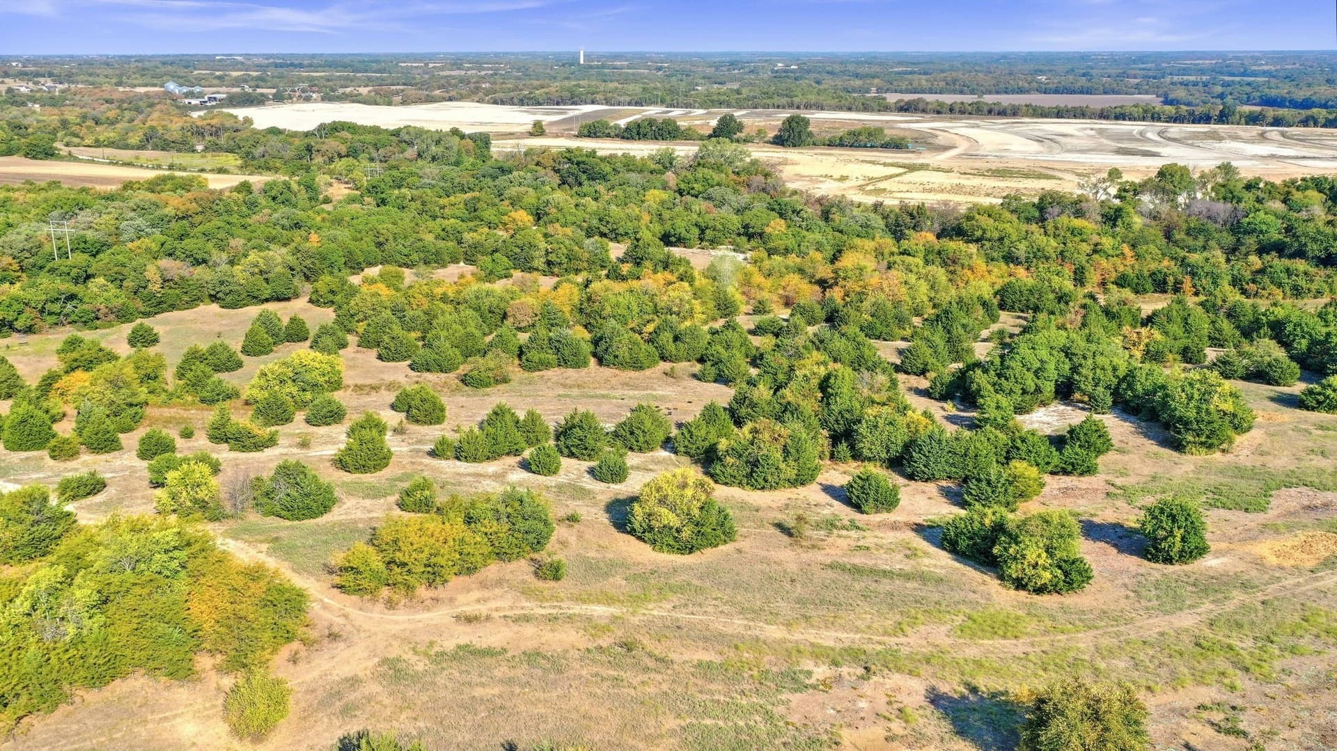 33.3 acres in Collin County - photo 20