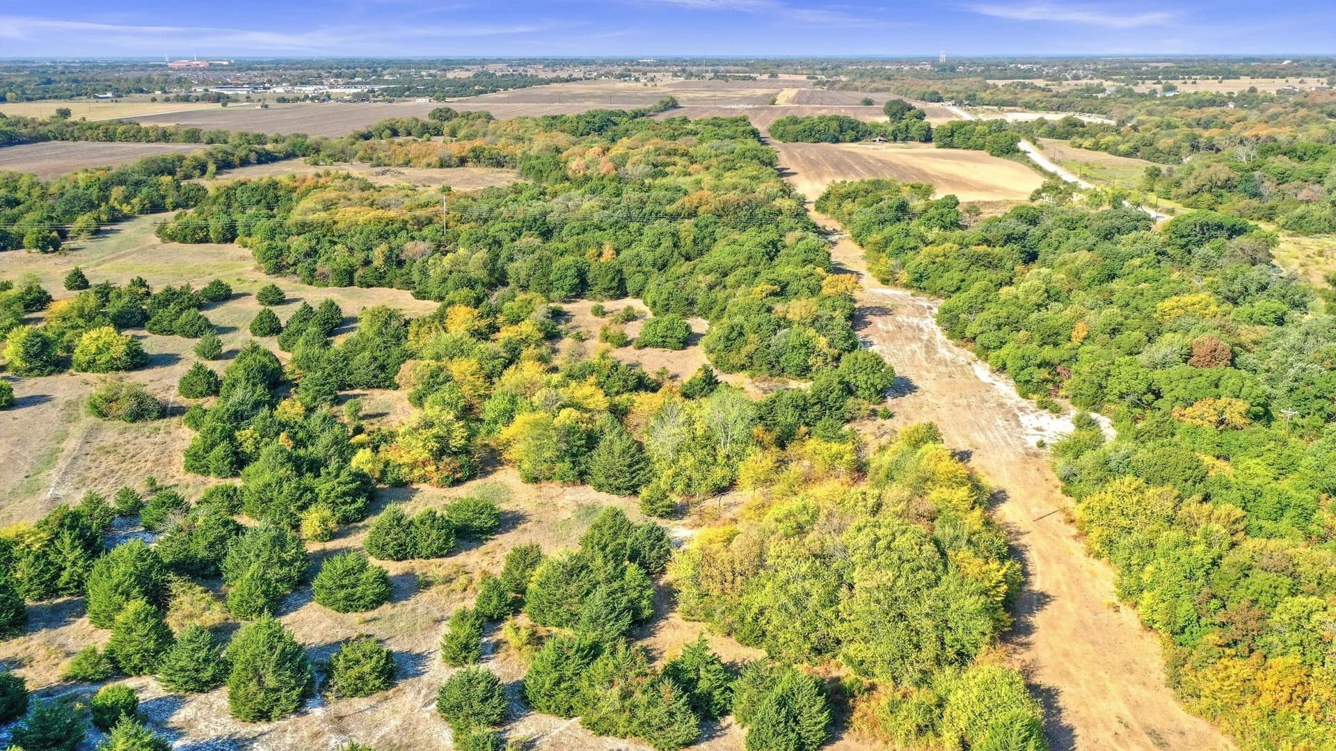 33.3 acres in Collin County - photo 21