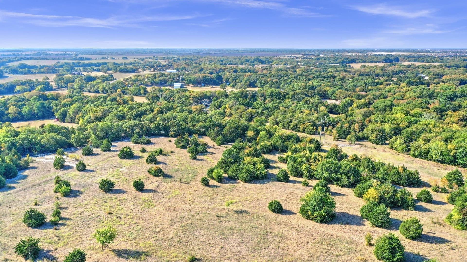 33.3 acres in Collin County - photo 19