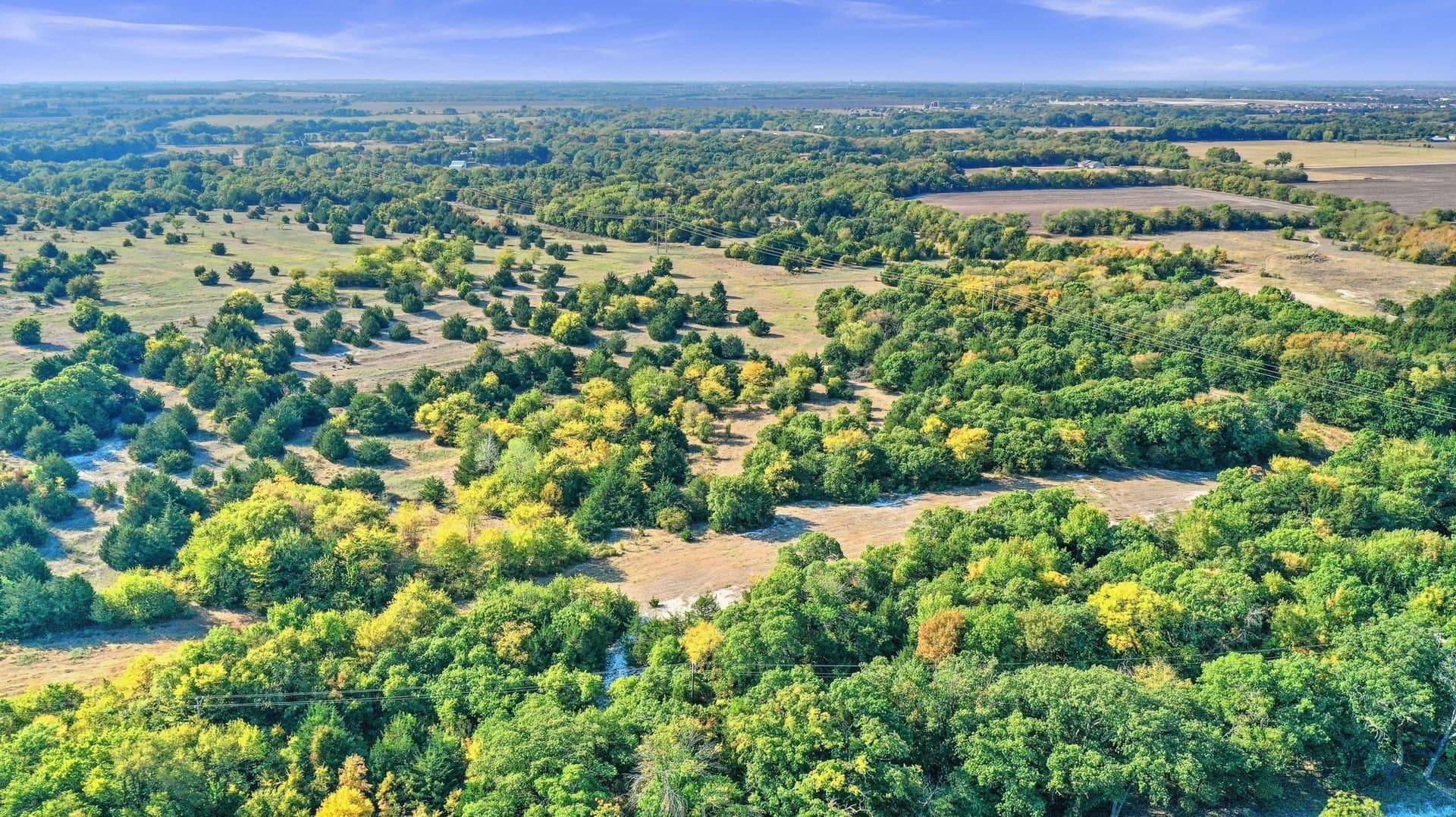 33.3 acres in Collin County - photo 25