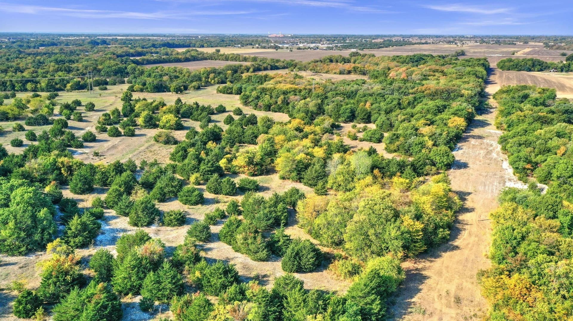 33.3 acres in Collin County - photo 28